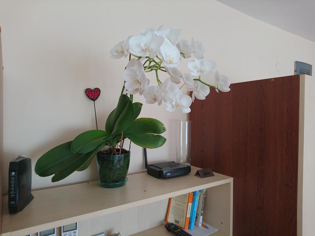 Park Apartments & Rooms Popovi Sandanski Luaran gambar